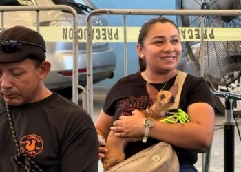 ¿No alcanzaste lugar? Kanasín abrirá nuevo registro para esterilizar mascotas gratis