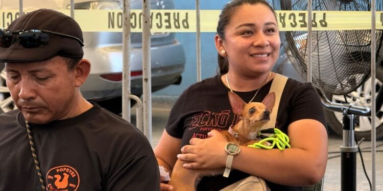 ¿No alcanzaste lugar? Kanasín abrirá nuevo registro para esterilizar mascotas gratis