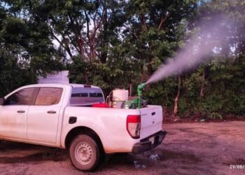 ¿Se viene una invasión de mosquitos? Así buscan evitar un repunte de dengue, zika y chikungunya en Mérida