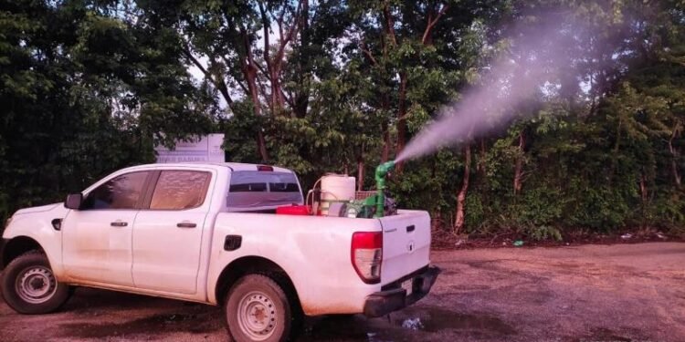 ¿Se viene una invasión de mosquitos? Así buscan evitar un repunte de dengue, zika y chikungunya en Mérida