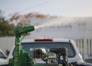 Tras las lluvias, Yucatán se alista para una invasión de mosquitos; activan fumigación masiva