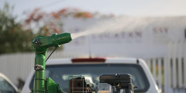 Tras las lluvias, Yucatán se alista para una invasión de mosquitos; activan fumigación masiva