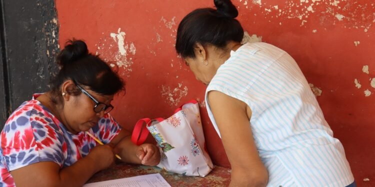 ¿Verduras frescas sin salir de casa? Impulsan huertos familiares en comunidades yucatecas