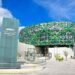 Lenguas indígenas del Sureste tendrán encuentro clave en Yucatán