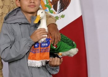 IMPI reconoce a la familia Gómez como titular de la marca del Pato Merlín