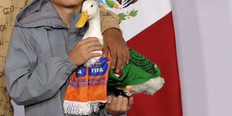 IMPI reconoce a la familia Gómez como titular de la marca del Pato Merlín