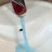 ¿Qué pasa con el agua en Las Américas? Vecinos reportan color azul y olor a cloro