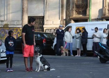 Sismo de 5.6 sacude Guerrero y se siente en CDMX; ¿Por qué no funcionó la alerta?