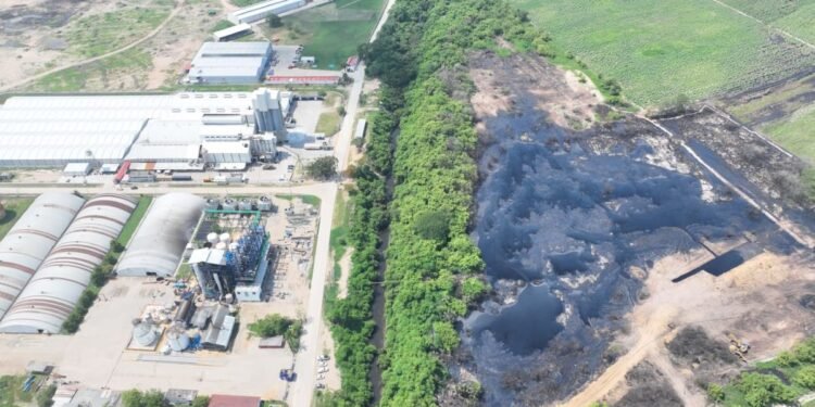 Peces muertos en Veracruz destapan posible descarga tóxica industrial. Esto ocurrió