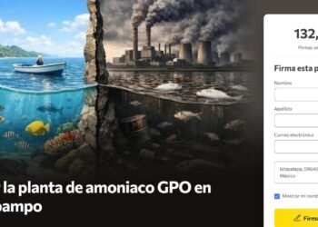 ¿Quién protegerá a Pechocho? Recolectan firmas para salvar la bahía de Topolobampo