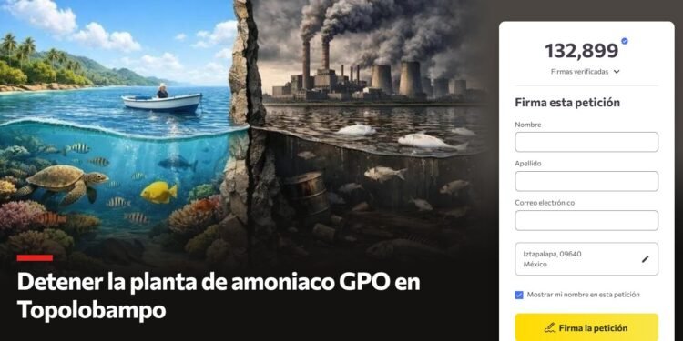 ¿Quién protegerá a Pechocho? Recolectan firmas para salvar la bahía de Topolobampo