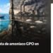 ¿Quién protegerá a Pechocho? Recolectan firmas para salvar la bahía de Topolobampo