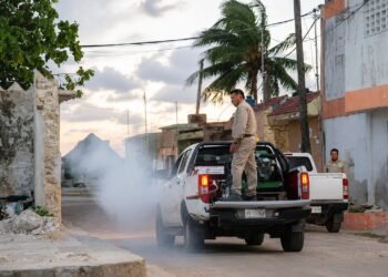 El dengue sigue a raya en Mérida; así será el operativo que recorrerá 47 comisarías