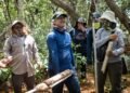 ¿Qué es el carbono azul y por qué Yucatán quiere protegerlo?