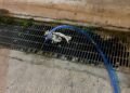 ¿Tiras basura o agua jabonosa en la calle? En Kanasín esto es lo que podría costarte