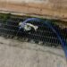 ¿Tiras basura o agua jabonosa en la calle? En Kanasín esto es lo que podría costarte
