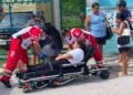 Intentó evitar a un perro y terminó en el hospital. ¿Y tú qué harías?