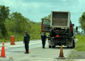 Con 300 kilos de pulpo: retén frena traslado durante temporada prohibida