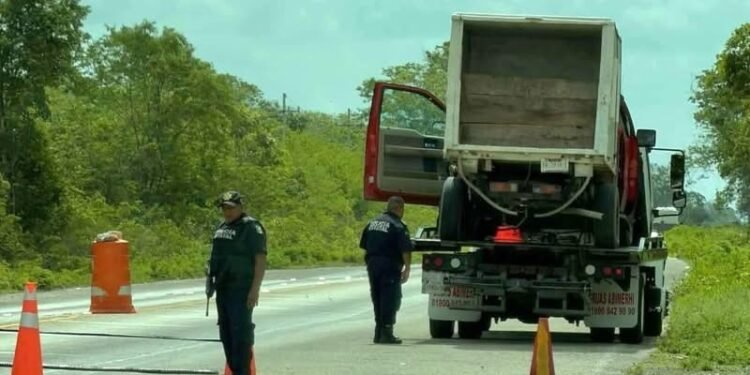 Con 300 kilos de pulpo: retén frena traslado durante temporada prohibida