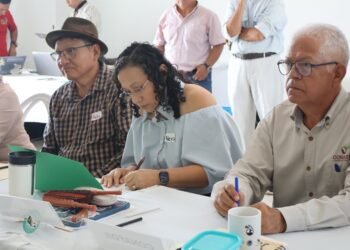 La selva maya entra en una nueva etapa de protección. ¿En qué consiste?