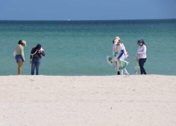 Vacaciones en Yucatán: esto debes hacer para evitar daños a playas, cenotes y fauna