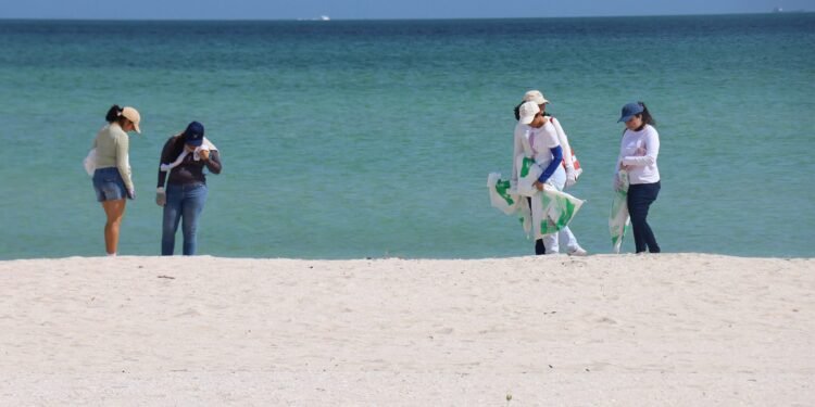 Vacaciones en Yucatán: esto debes hacer para evitar daños a playas, cenotes y fauna