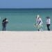 Vacaciones en Yucatán: esto debes hacer para evitar daños a playas, cenotes y fauna