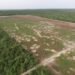 Semarnat endurece vigilancia por daños ambientales de monocultivos en Yucatán