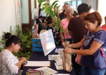 Más de 4 mil reportes atendidos: Mérida informa avances en infraestructura