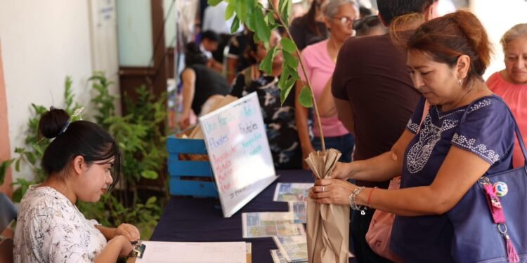 Más de 4 mil reportes atendidos: Mérida informa avances en infraestructura