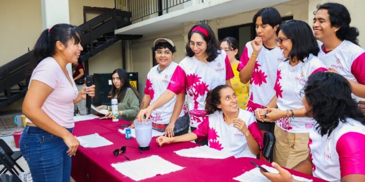 ¿Puede el reciclaje se una oportunidad de negocio? Una yucateca demuestra que sí