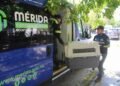 ¿Qué hace Mérida contra el maltrato animal? Atienden más de mil 300 denuncias
