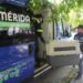 ¿Qué hace Mérida contra el maltrato animal? Atienden más de mil 300 denuncias