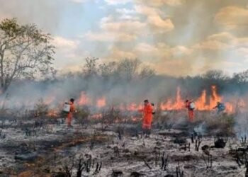 Las lluvias reducen incendios, pero elevan emergencias por caída de cables eléctricos