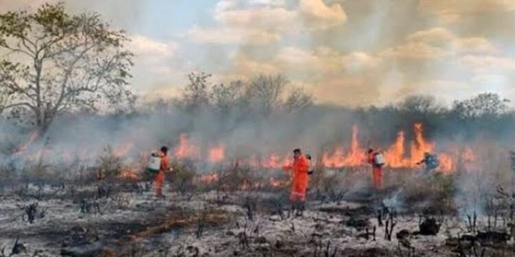 Las lluvias reducen incendios, pero elevan emergencias por caída de cables eléctricos