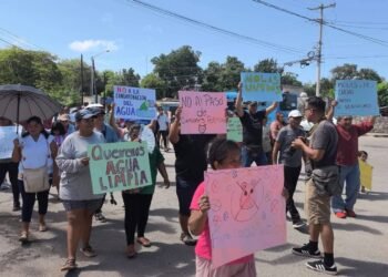 ¿Molas dice basta? Vecinos protestan contra granjas porcícolas y el paso de camiones
