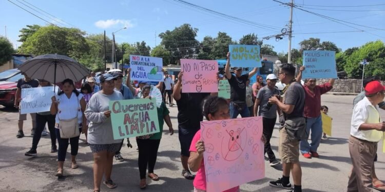 ¿Molas dice basta? Vecinos protestan contra granjas porcícolas y el paso de camiones