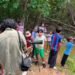 Más de 160 niños aprenden a proteger la naturaleza en el Parque Yu’um Tsil