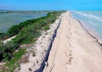 Dunas costeras: la barrera natural que protege a Yucatán frente a huracanes