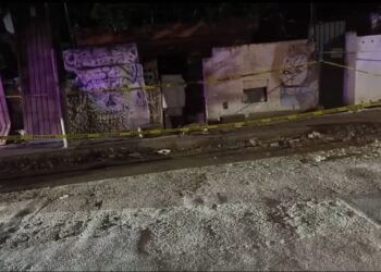 Presunto envenenamiento de perros alarma a vecinos de Mérida; autoridades investigan