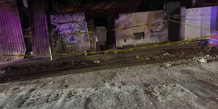 Presunto envenenamiento de perros alarma a vecinos de Mérida; autoridades investigan