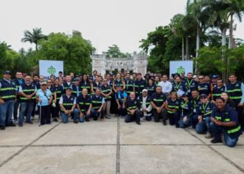 ¿Maltrato animal en Mérida? Despliegan 20 brigadas para atender más de 100 denuncias