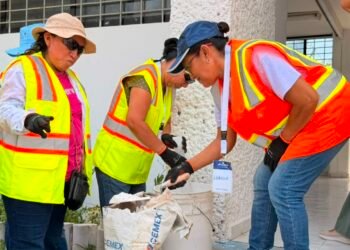 ¿Te imaginas reparar tu casa sin depender de nadie? Así lo están logrando ellas