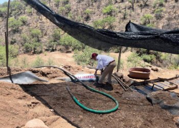 ¡Iban por el oro… y terminaron clausurados! Profepa descubre extracción ilegal