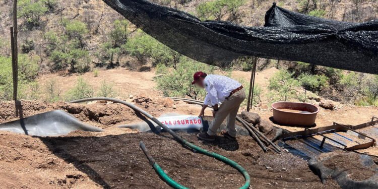 ¡Iban por el oro… y terminaron clausurados! Profepa descubre extracción ilegal