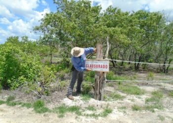 ¿Qué encontraron en las reservas naturales? Profepa clausura actividades ilegales