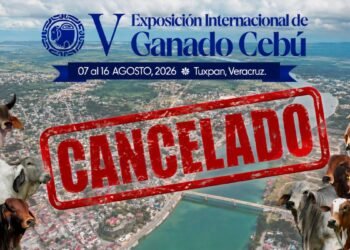 ¿Qué pasó en Tuxpan? Suspenden la Expo Ganadera y esto es lo que se sabe