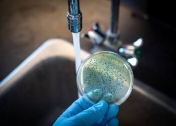 Fiebre tifoidea prende alerta en Yucatán; casos se triplican en lo que va de 2026