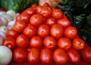 ¡Buenas noticias para tu bolsillo! Baja el precio del jitomate en Yucatán