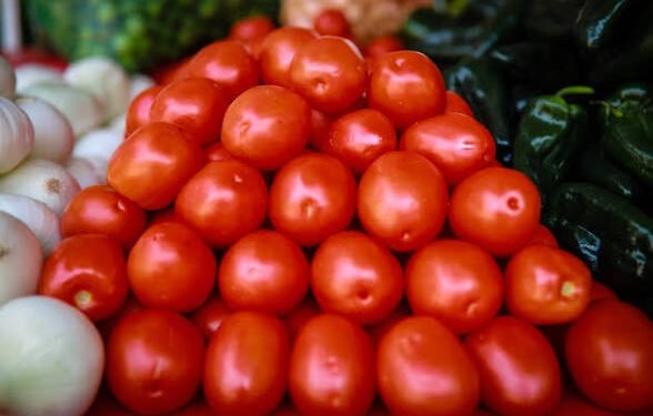 ¡Buenas noticias para tu bolsillo! Baja el precio del jitomate en Yucatán